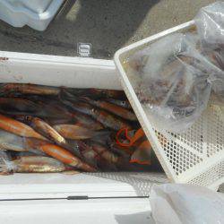 大進丸（愛知） 釣果