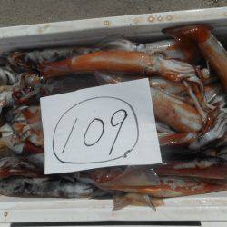 大進丸（愛知） 釣果