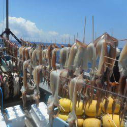 大進丸（愛知） 釣果