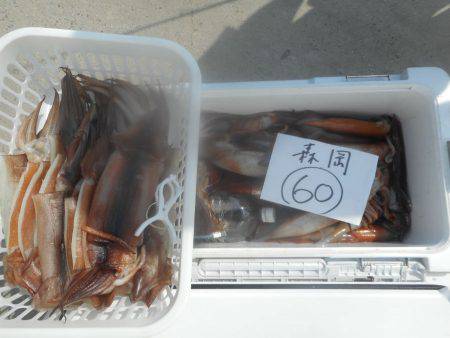 大進丸（愛知） 釣果