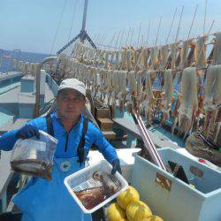 大進丸(愛知) 釣果