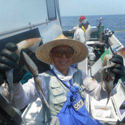 大進丸(愛知) 釣果