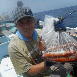 大進丸(愛知) 釣果