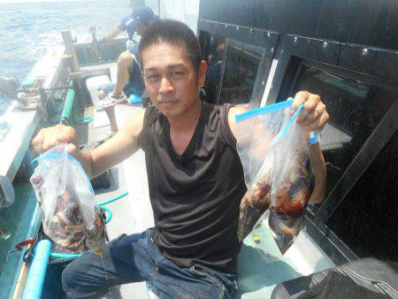 大進丸(愛知) 釣果