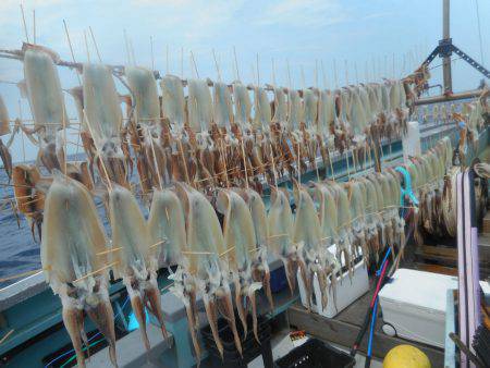 大進丸(愛知) 釣果