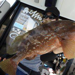 Fisherman Dreams DI 釣果