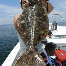 Fisherman Dreams DI 釣果