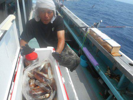 大進丸（愛知） 釣果