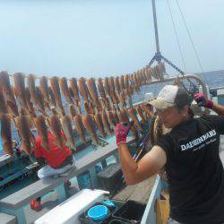 大進丸（愛知） 釣果