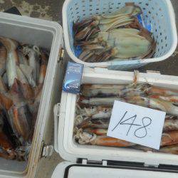 大進丸（愛知） 釣果