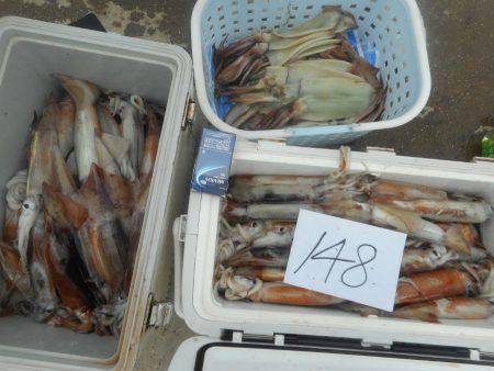 大進丸（愛知） 釣果