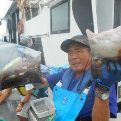 大進丸（愛知） 釣果