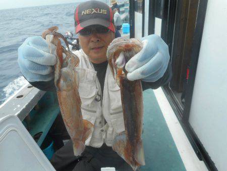 大進丸（愛知） 釣果