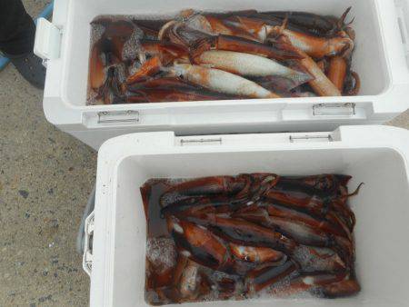 大進丸（愛知） 釣果