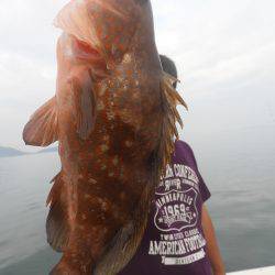 Fisherman Dreams DI 釣果