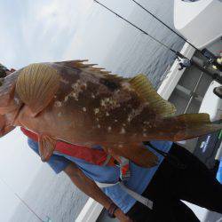 Fisherman Dreams DI 釣果