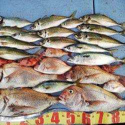 第二常豊丸 釣果