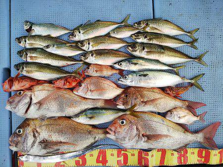 第二常豊丸 釣果