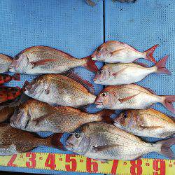 第二常豊丸 釣果