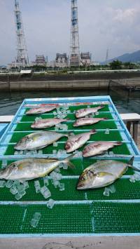 和歌山マリーナシティ釣り堀 釣果