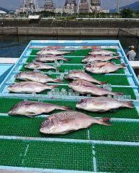 和歌山マリーナシティ釣り堀 釣果