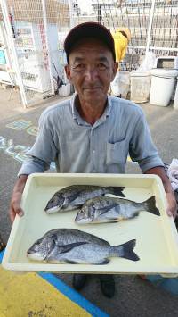 和歌山マリーナシティ釣り公園 釣果