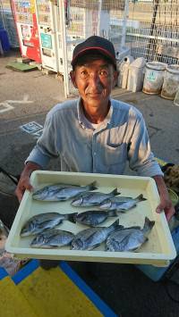 和歌山マリーナシティ釣り公園 釣果