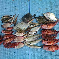 第二常豊丸 釣果