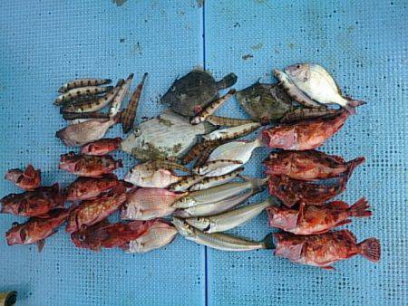 第二常豊丸 釣果