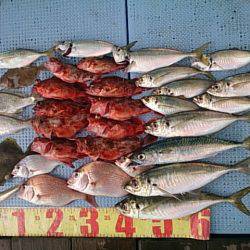 第二常豊丸 釣果