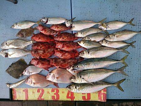 第二常豊丸 釣果