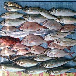 第二常豊丸 釣果