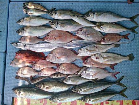 第二常豊丸 釣果