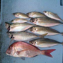 第二常豊丸 釣果