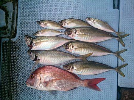 第二常豊丸 釣果