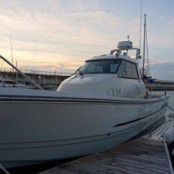 フィッシングボートACE(エース) 釣果