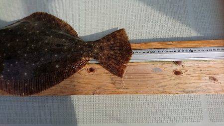 フィッシングボートACE(エース) 釣果