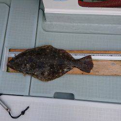 フィッシングボートACE(エース) 釣果