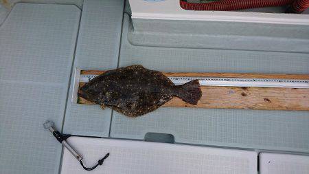 フィッシングボートACE(エース) 釣果