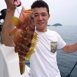 フィッシングボートACE(エース) 釣果