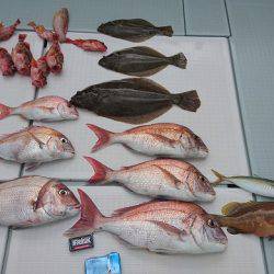 フィッシングボートACE(エース) 釣果