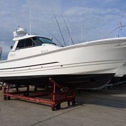 フィッシングボートACE(エース) 釣果