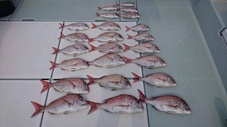 フィッシングボートACE（エース） 釣果