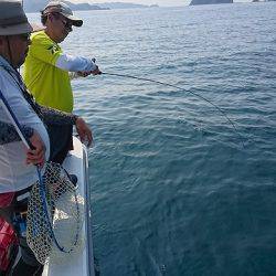 フィッシングボートACE(エース) 釣果