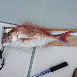 フィッシングボートACE(エース) 釣果