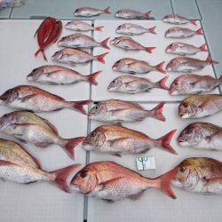 フィッシングボートACE(エース) 釣果