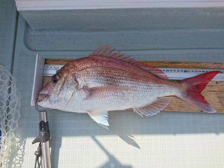 フィッシングボートACE(エース) 釣果