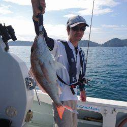 フィッシングボートACE(エース) 釣果