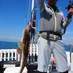 フィッシングボートACE(エース) 釣果