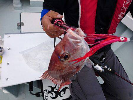 フィッシングボートACE(エース) 釣果